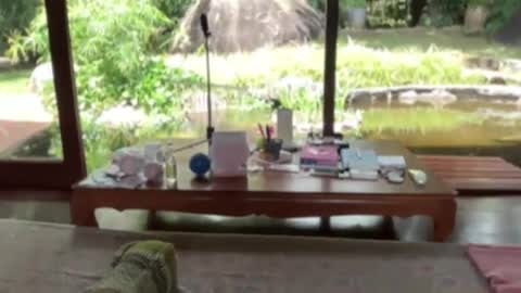 fluffy_bunnyxxx online show from 21, 2, 2025