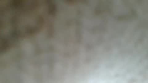 flyn12 online show from 21, 2, 2026