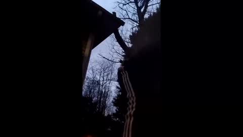 Snapshot of flyyguy69 chatting on 18, 12, 2025 flyyguy69 online show from 18, 12, 2025