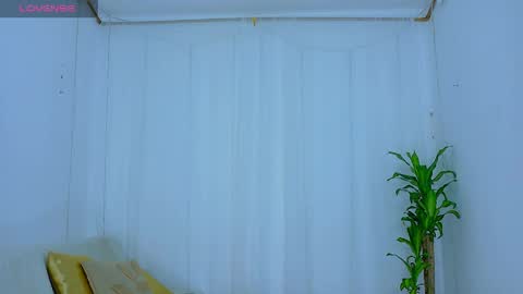 for_mycami online show from 12, 4, 2026