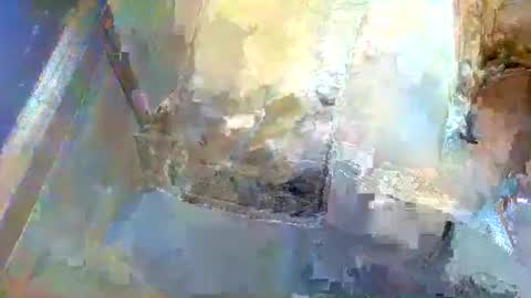 forest133 online show from 5, 1, 2025