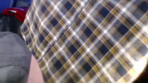 forestnymphpdx online show from 24, 12, 2024