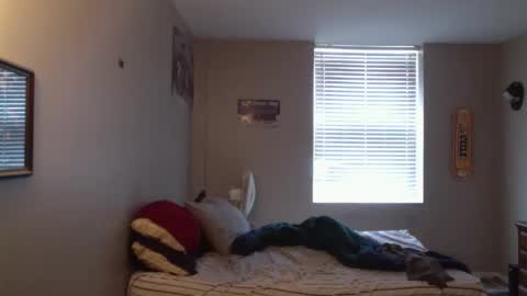 forlorndog online show from 7, 4, 2026