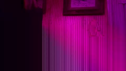 foxrun2 online show from 26, 2, 2026