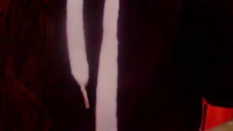 foxxxx_33 online show from 16, 12, 2025