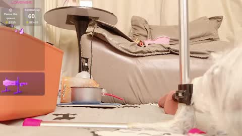 yiyi online show from 14, 4, 2026