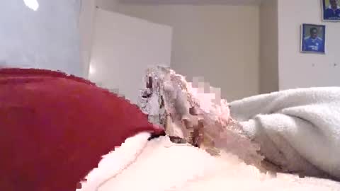 Snapshot of frankiel745 chatting on 9, 12, 2024 frankiel745 online show from 9, 12, 2024