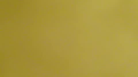 frankyb0yforeal online show from 24, 2, 2026