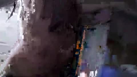 Squirrel twink online show from 15, 9, 2025