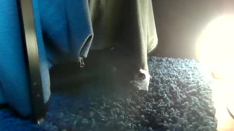 Snapshot of fredthetom12 chatting on 14, 2, 2025 Greedy Fred online show from 14, 2, 2025