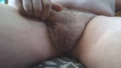 free_amos online show from 7, 3, 2026