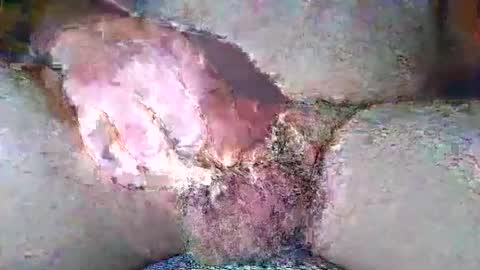 free_amos online show from 7, 4, 2026