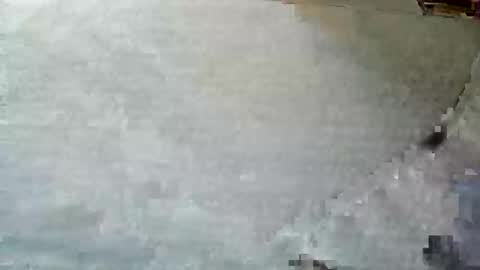 frenchpapalover online show from 5, 12, 2024