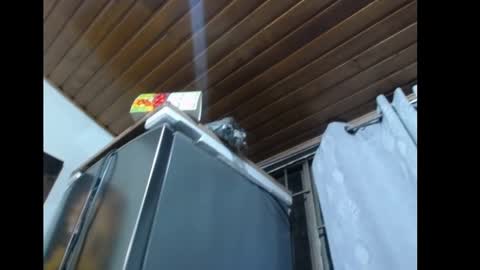 freyaa_sorceress online show from 31, 12, 2024