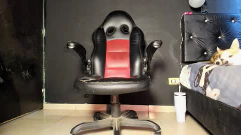 Ricardodominic 1   MODELO INDEPENDIENTE online show from 4, 6, 2026