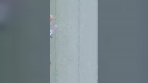 La online show from 16, 3, 2026