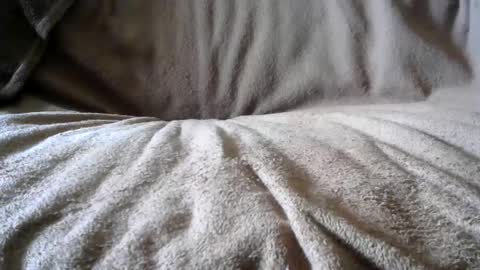 BigLoadsJoe online show from 24, 2, 2025