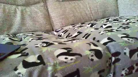 Funslimguy online show from 30, 12, 2024