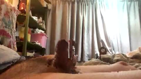 funxuriate online show from 1, 3, 2026