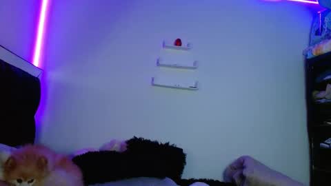 Victoria online show from 11, 3, 2025