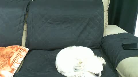 gaby  layla online show from 21, 1, 2025