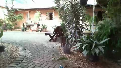 gaby  layla online show from 31, 1, 2025