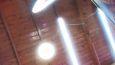 Snapshot of gabriela_leone chatting on 1, 10, 2025 gabriela online show from 1, 10, 2025