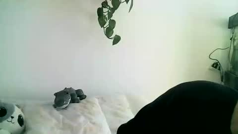 Gael Garca online show from 11, 2, 2026