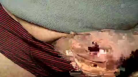 Stutzen online show from 4, 3, 2025