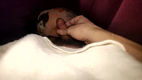 ganja28511 online show from 24, 1, 2025