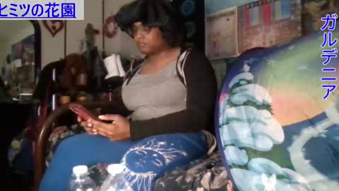 Gardenia online show from 12, 12, 2024