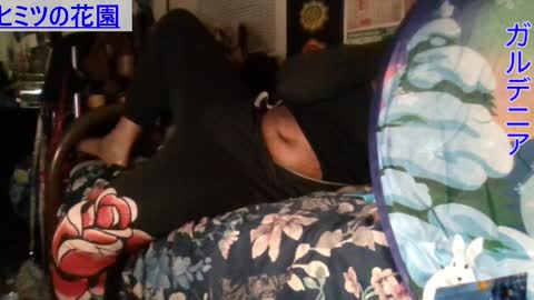 Gardenia online show from 15, 12, 2024