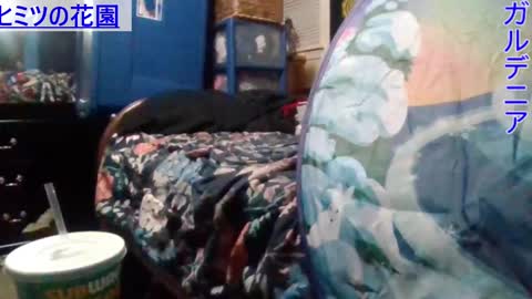 Gardenia online show from 25, 12, 2024