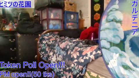 Gardenia online show from 5, 1, 2025