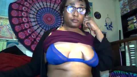 Gardenia online show from 1, 4, 2026