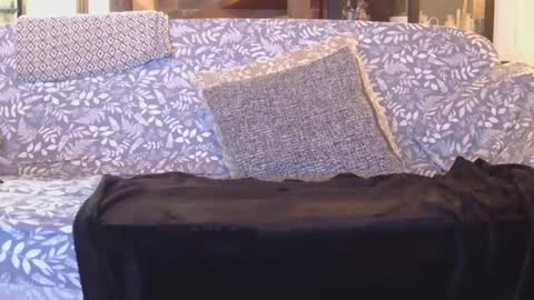 Gaz online show from 1, 1, 2025