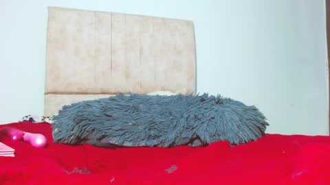 Snapshot of gatita13333321 chatting on 26, 1, 2025 gatita13333321 online show from 26, 1, 2025