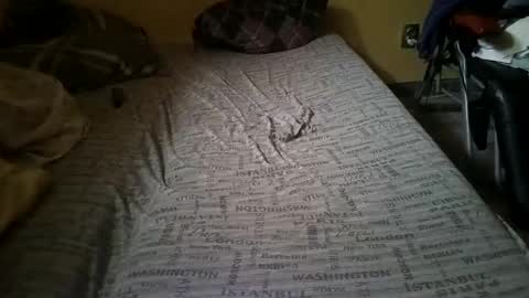 Snapshot of gazdadoka chatting on 14, 2, 2025 gazdadjoka online show from 14, 2, 2025