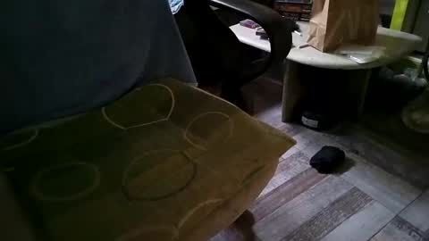 Snapshot of gazdadoka chatting on 12, 3, 2025 gazdadjoka online show from 12, 3, 2025