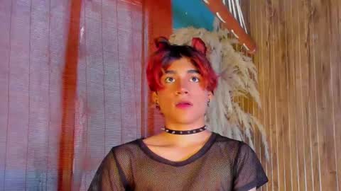 HAN online show from 13, 1, 2026