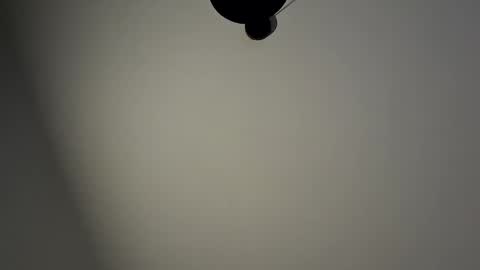 Snapshot of gazg1984 chatting on 29, 1, 2025 gazg1984 online show from 29, 1, 2025