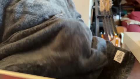 geezerblokeii online show from 2, 12, 2024