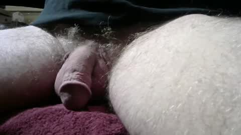 gemini_2 online show from 5, 3, 2025