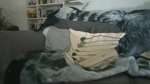 Geon online show from 19, 12, 2025