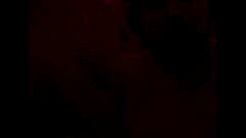 GeOOXXX online show from 9, 4, 2026