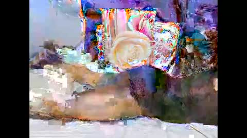 georgeous_kimberly online show from 25, 3, 2026