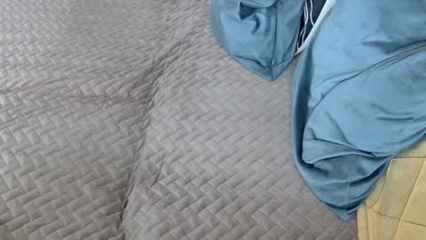 Melissa online show from 17, 2, 2026