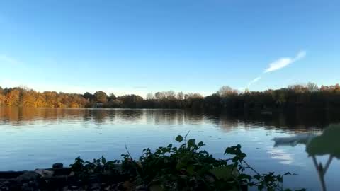 Snapshot of germanwankingman92 chatting on 5, 11, 2025 Pink Dog online show from 5, 11, 2025