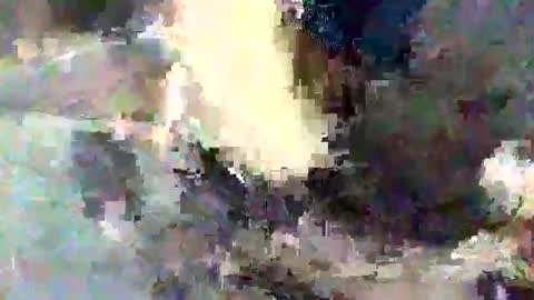 man in your room online show from 26, 9, 2025