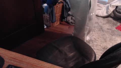 Snapshot of gethoggy chatting on 25, 1, 2025 gethoggy online show from 25, 1, 2025